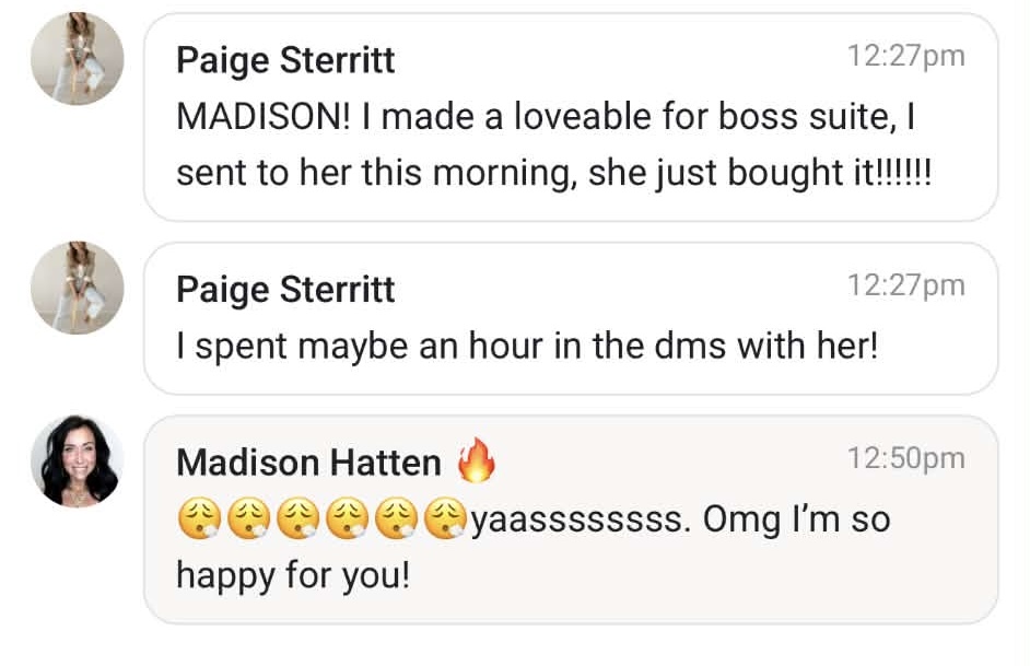 Customer message: SCS was exactly what I needed to piece my ideas together